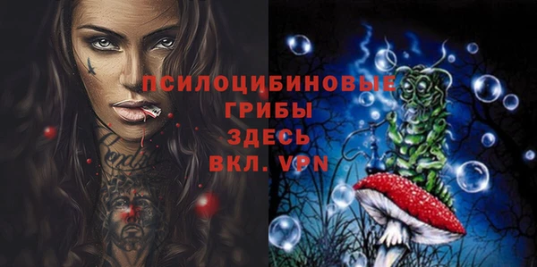 PSILOCYBIN Нея